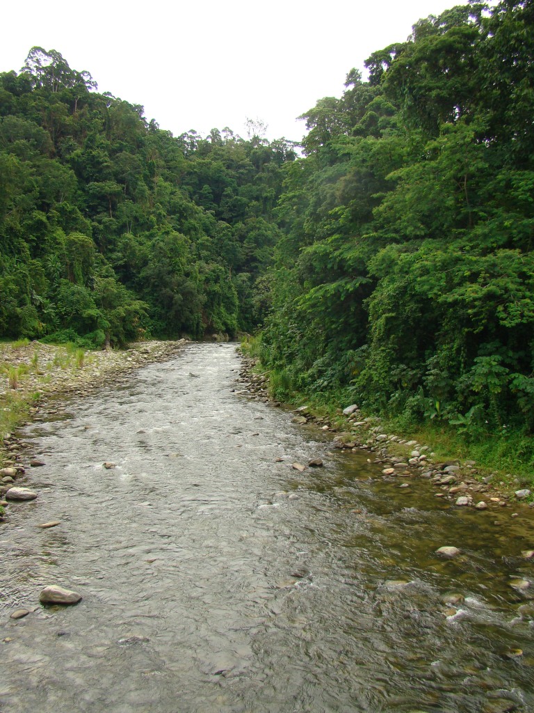 El rio Cuyamel bordea la aldea del mismo nombre.